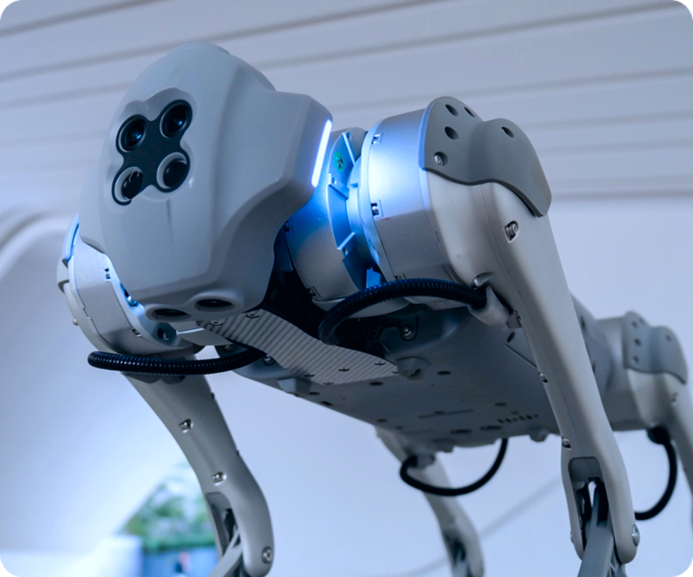 Robôs para eventos - Pluginbot
